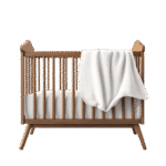 Aenean leo ligula bed